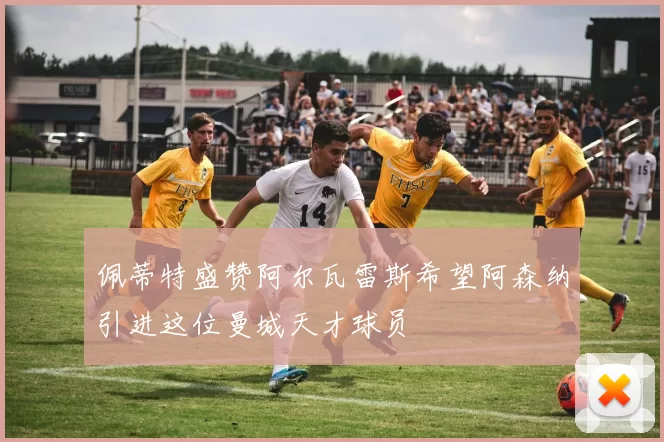 佩蒂特盛赞阿尔瓦雷斯希望阿森纳引进这位曼城天才球员