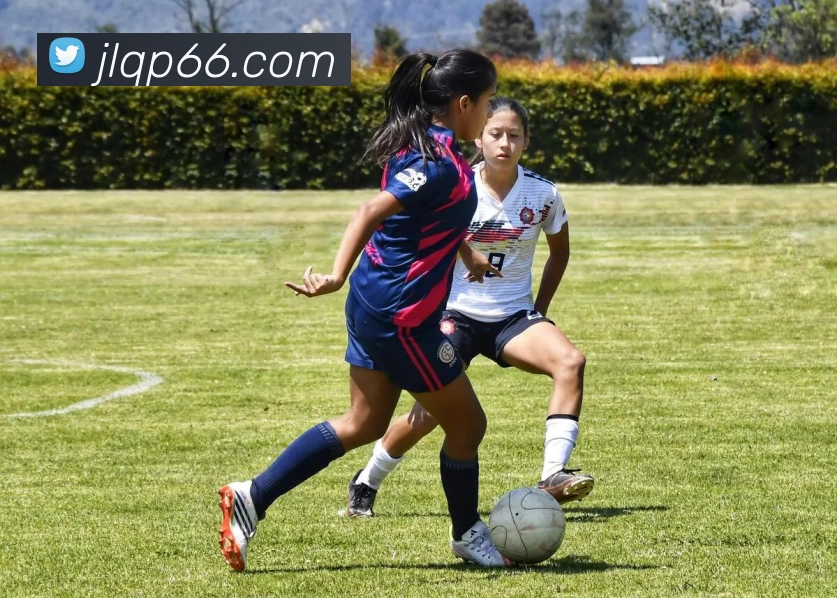 金利棋牌发展历程